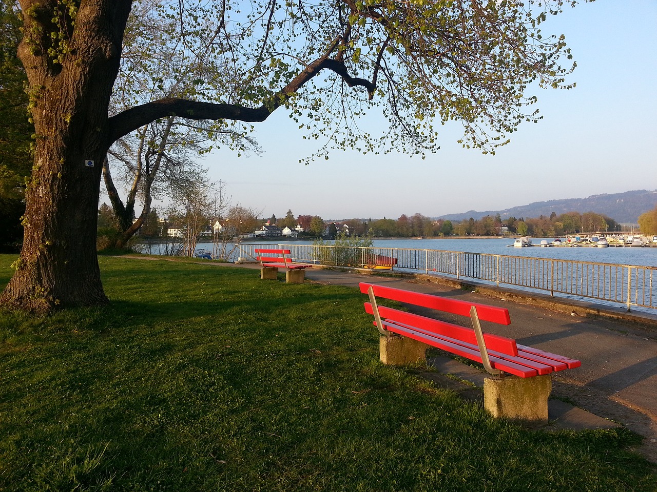 体图：种种迹象表明埃姆雷-詹将会与多特蒙德续约并留队